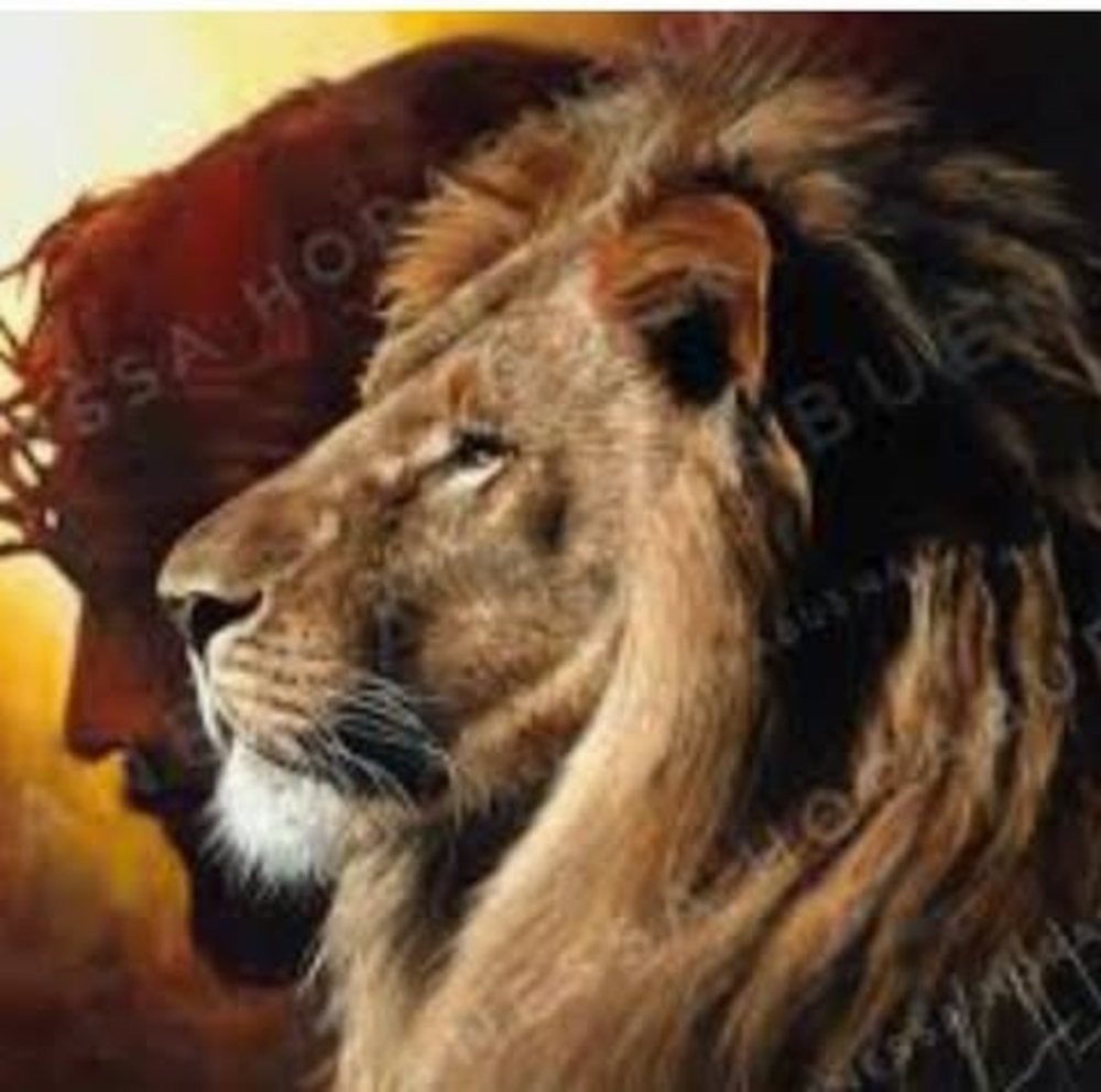 Meet your Posher, Isla